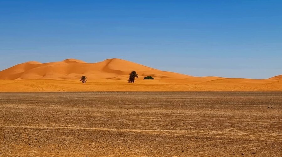 Morocco tours - Morocco trip - Morocco tours - Morocco holiday - Morocco excursions - Morocco itinerary - Morocco wonderful tour - travel to Morocco - Trip tp Morocco - Holiday in Morocco - Holiday tour in Morocco - Morocco in 1 week - 1 week in Morocco - 3 Days tour in Morocco - Morocco 4 days tour - 10 Days Morocco tour - 10 Days in Morocco - 10 Travel in Morocco